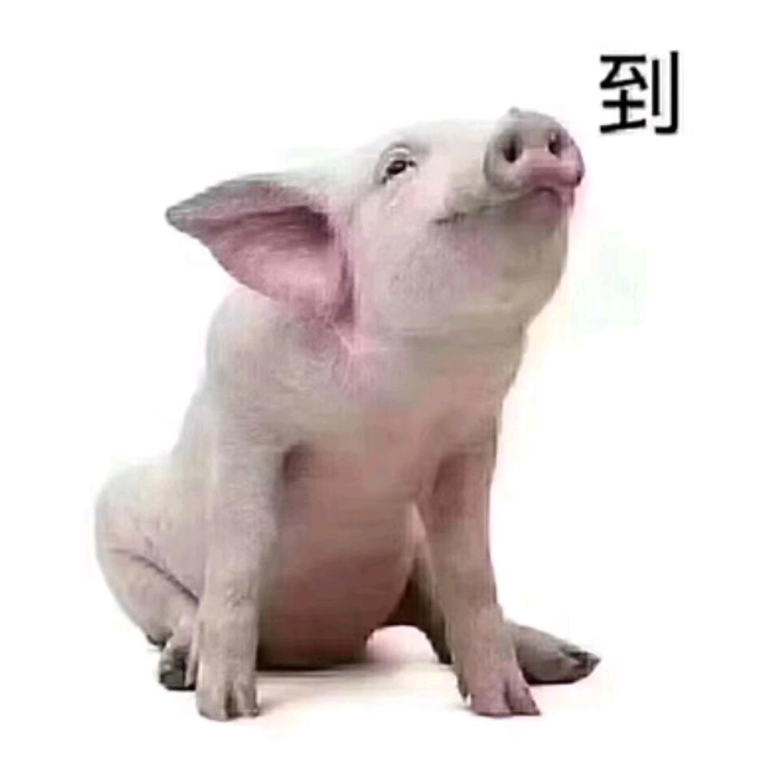 XxU.