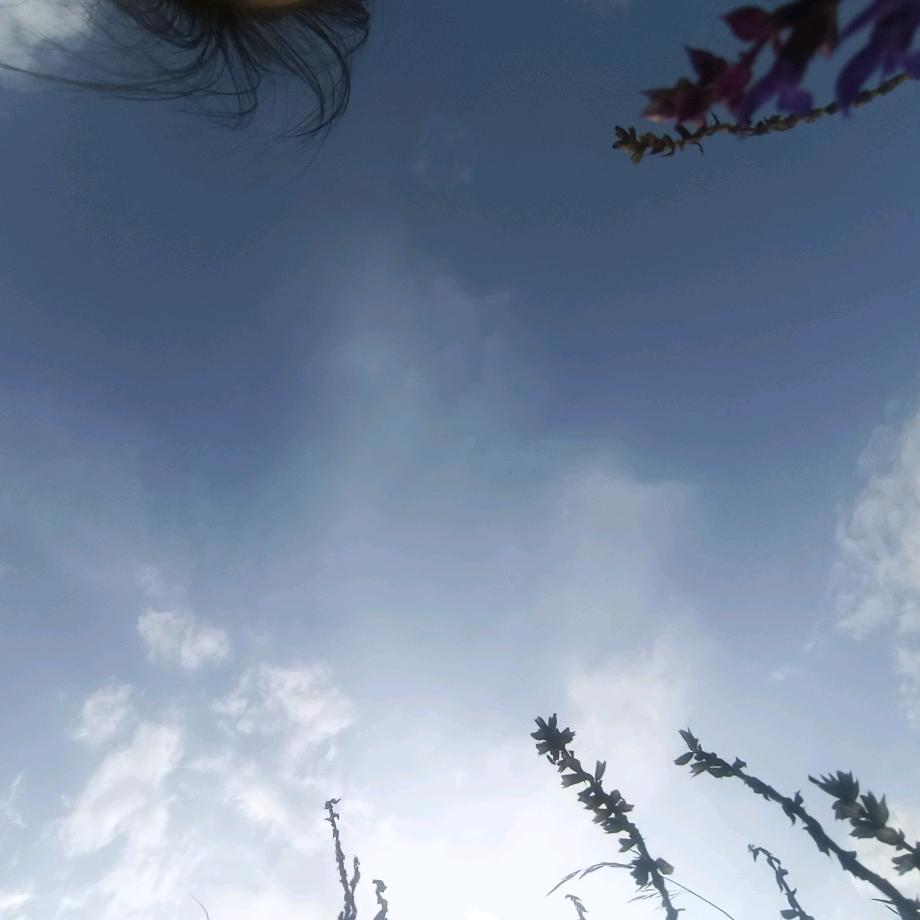 若只如初见^O^-…/ 990-