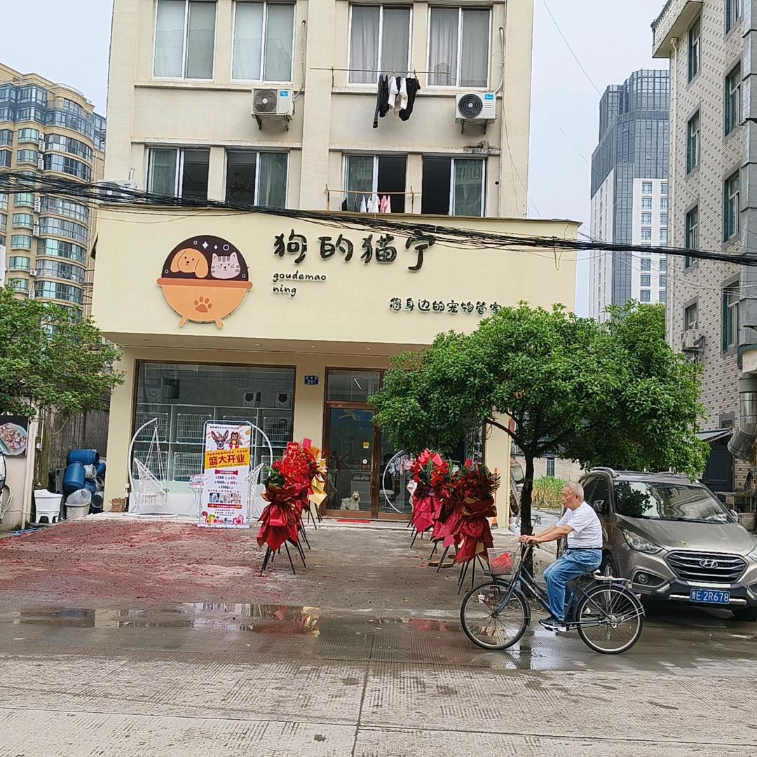 狗的猫宁(富南路店)狗的猫宁