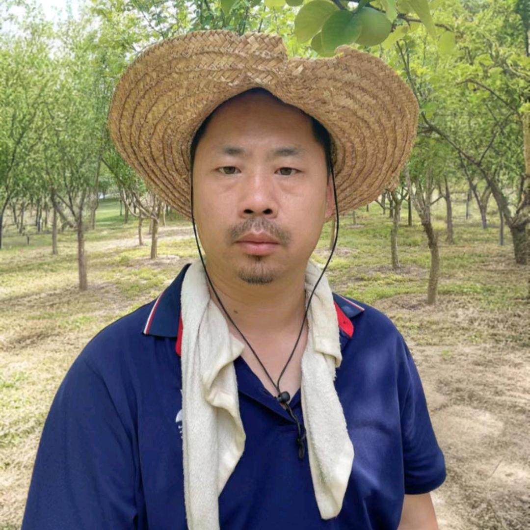 老王说果树(商品在橱窗)