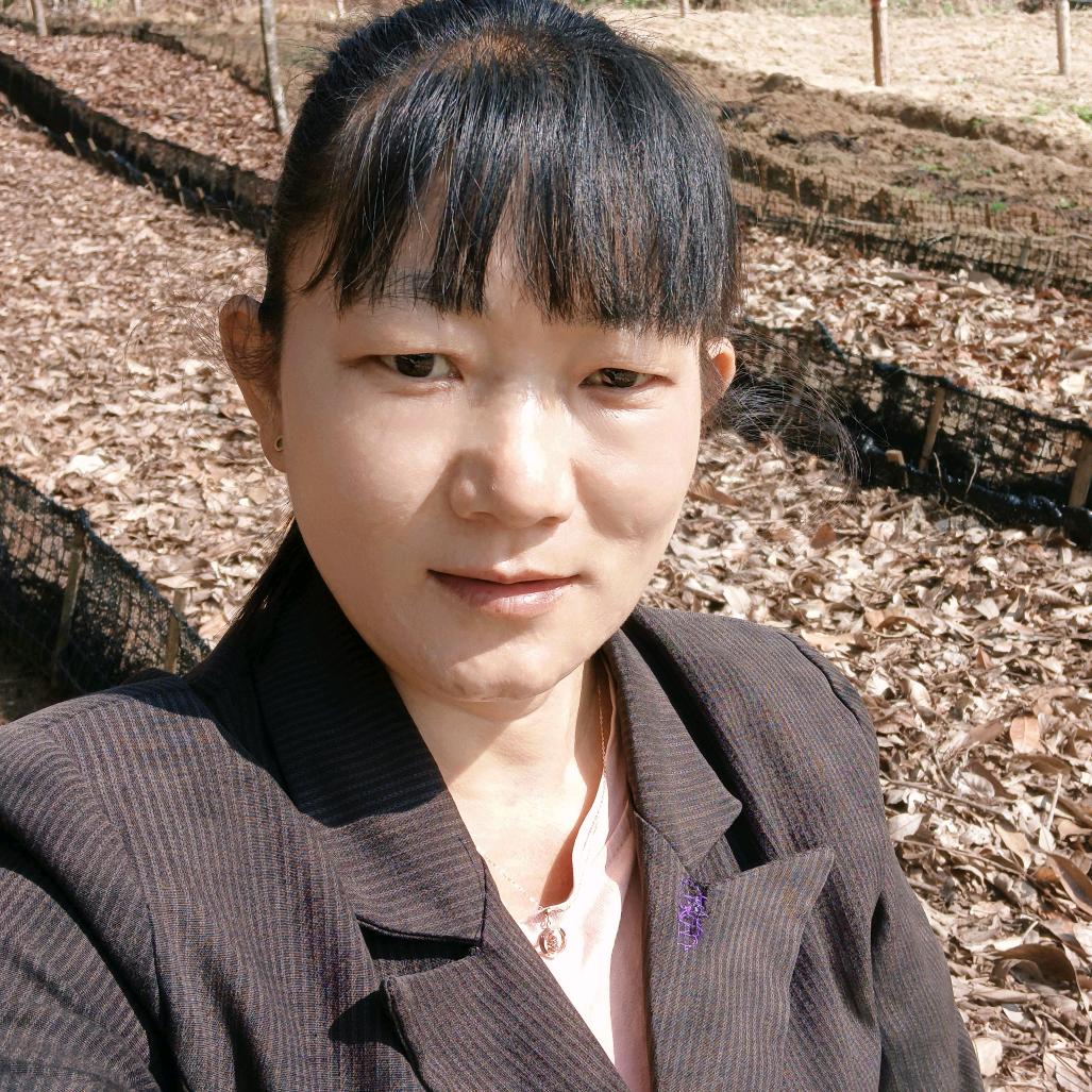 依依