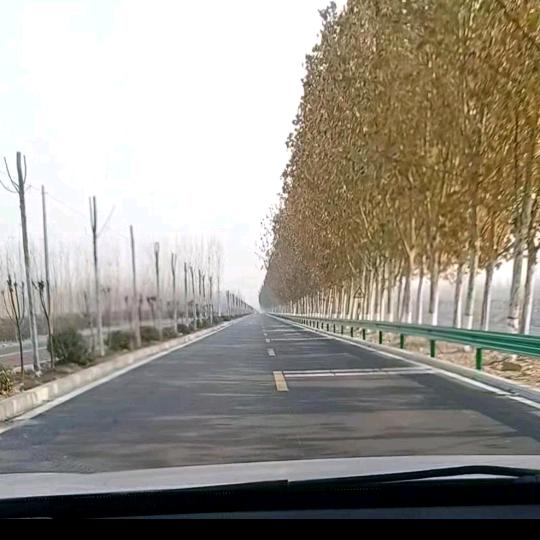 《高》