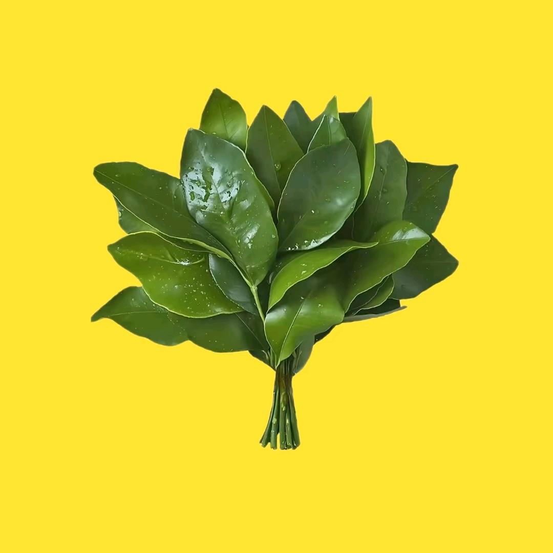 澳门鬼脚七