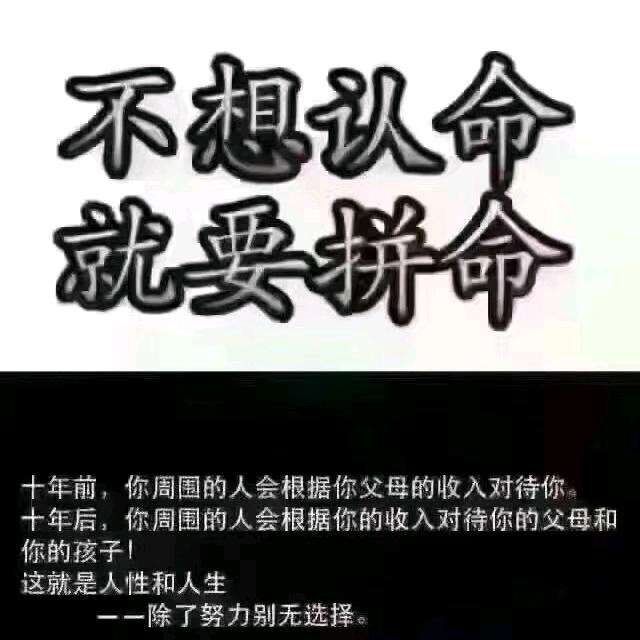 创业狂徒