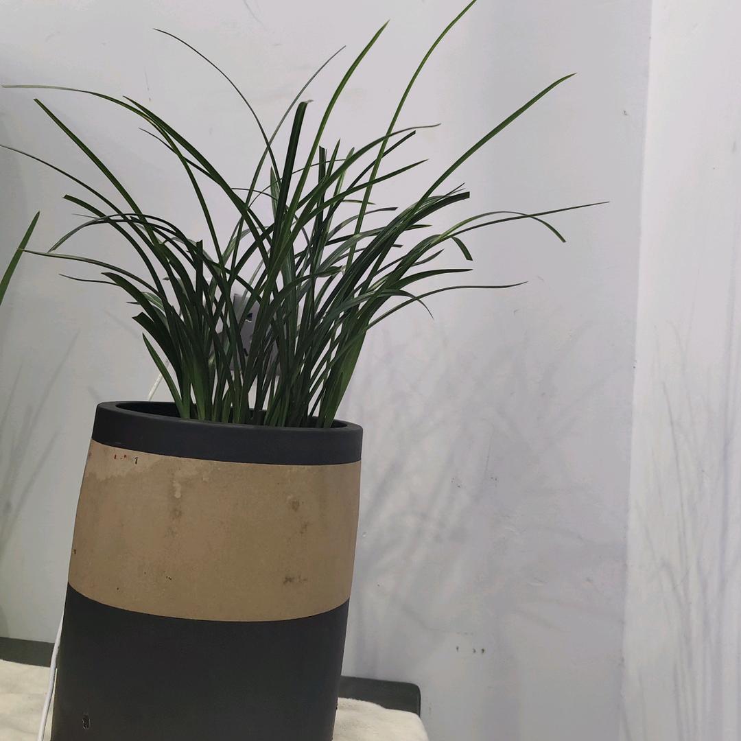 何良栋☞合作愉快☜警钟长鸣