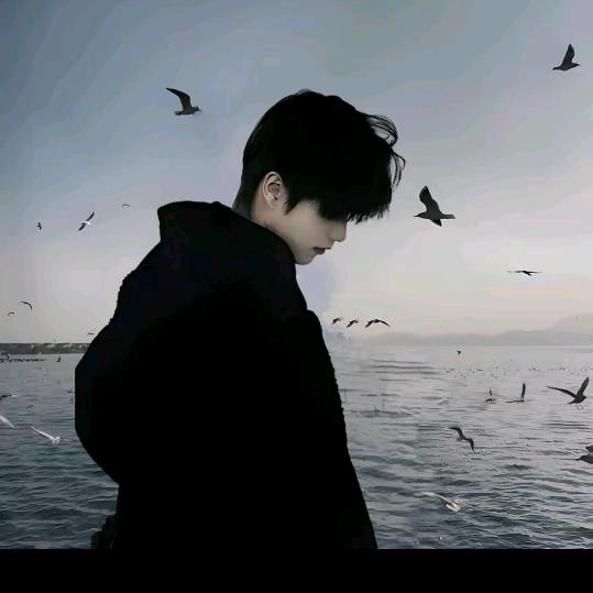 玖辞王子（叫我王子）