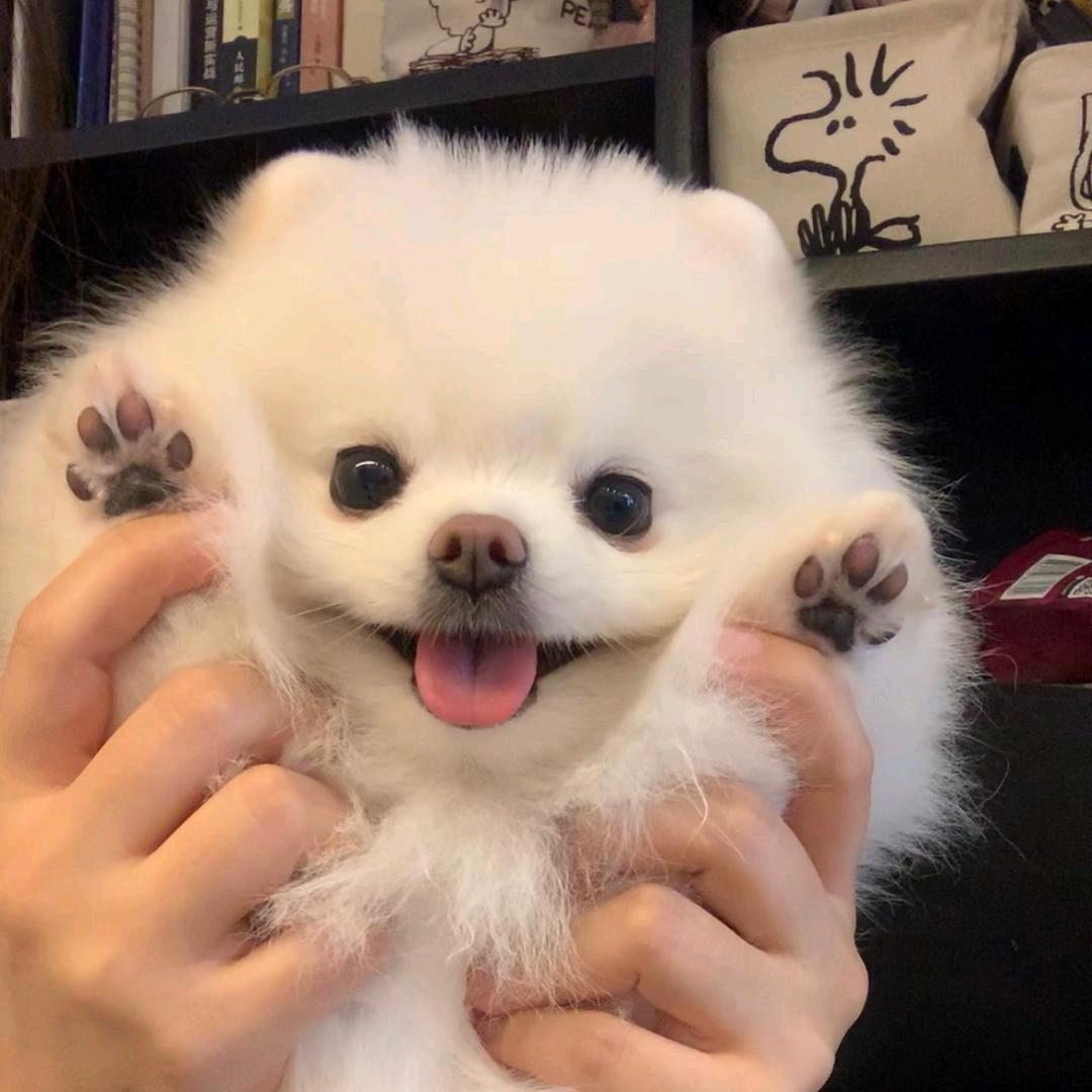 爱你的？！