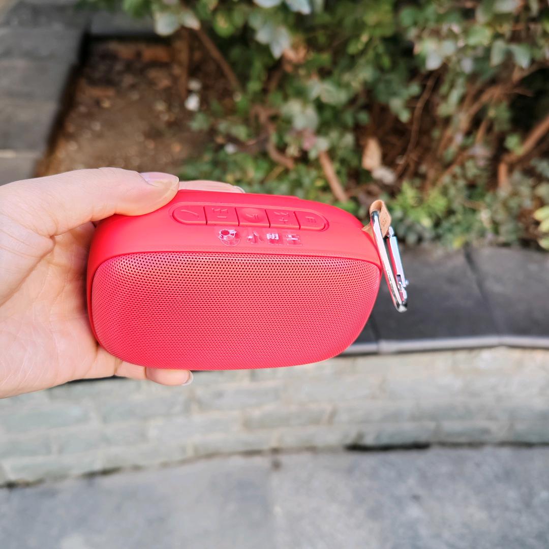 成越数码音响店