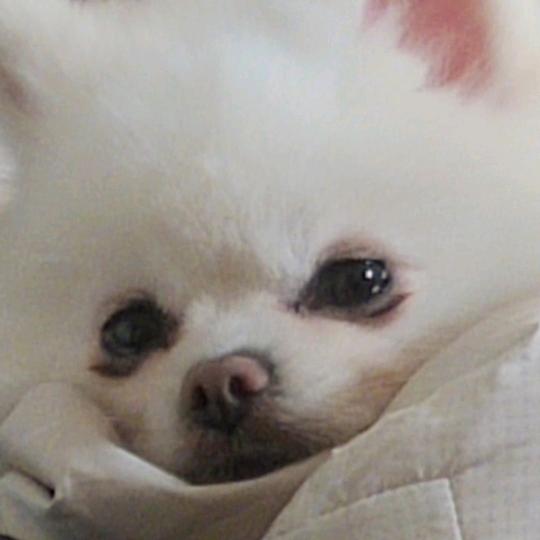 钱多多不嫌钱多多头像