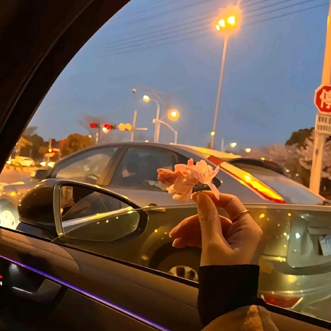 / 七 安 /