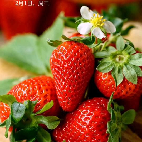 为你停留