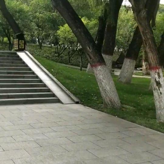 涵涵新鲜水果