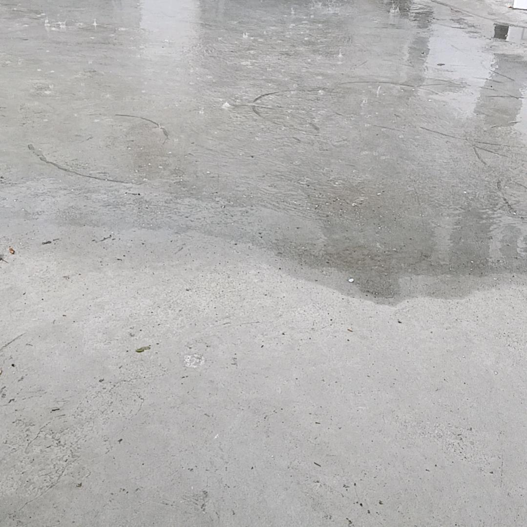 刘青