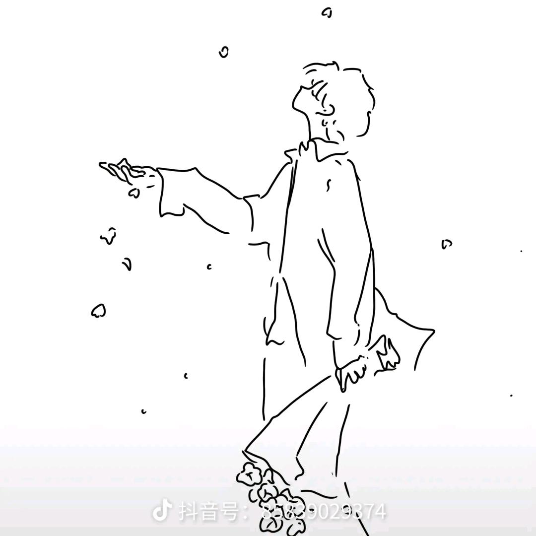 南风先生