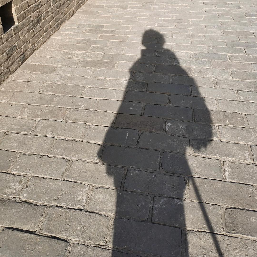 穿绿色卫衣的橘猫