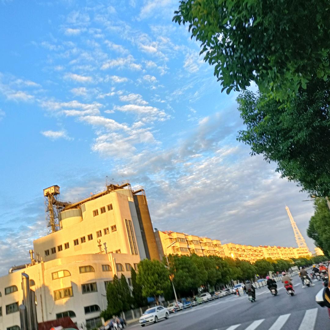 阜小谭餐饮王彬