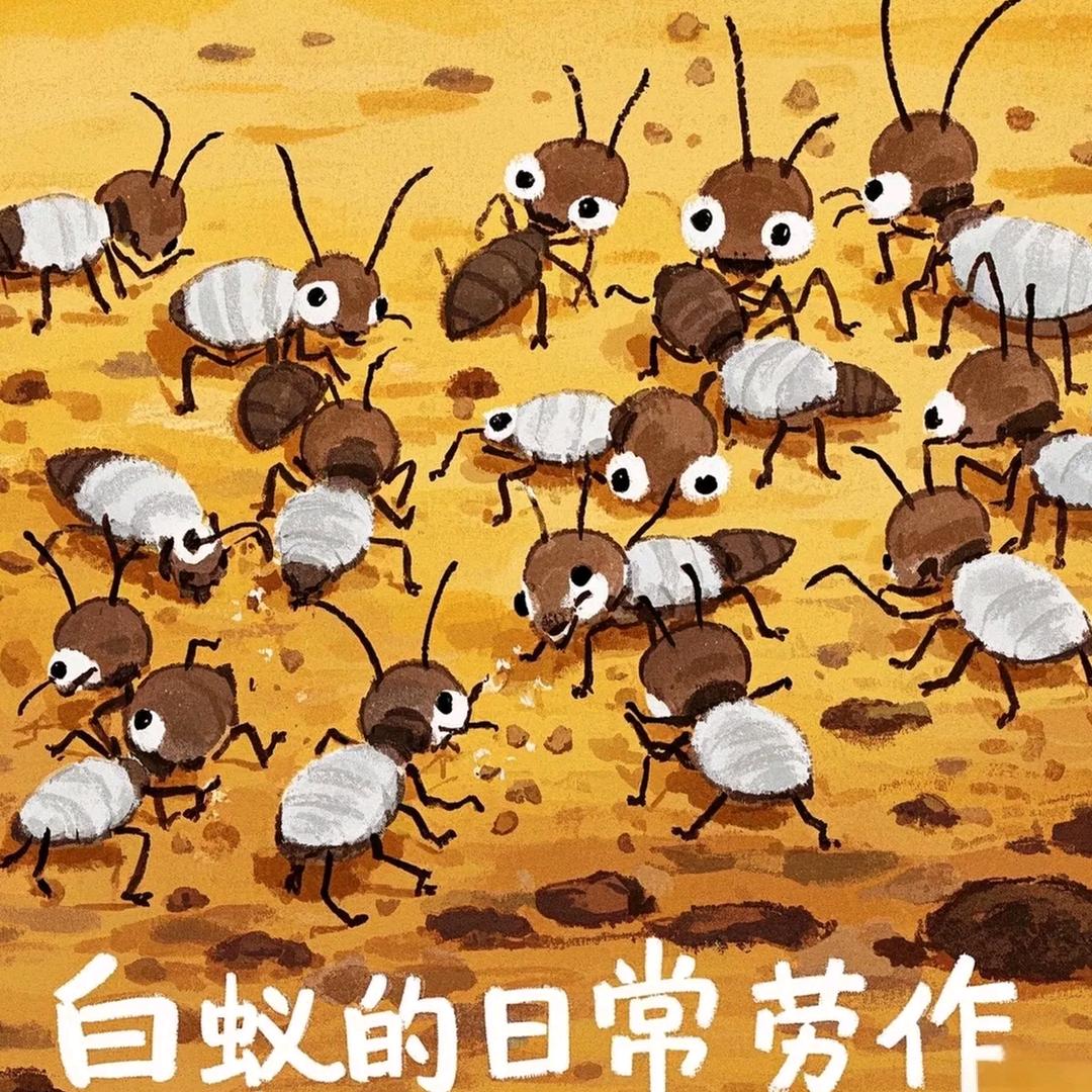 瓷砖空鼓修复/白蚁消杀