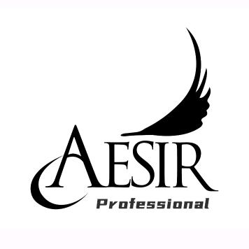 Aesir艾希尓专业