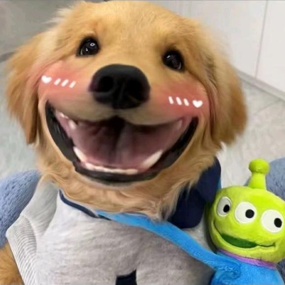 睡醒的时候不困