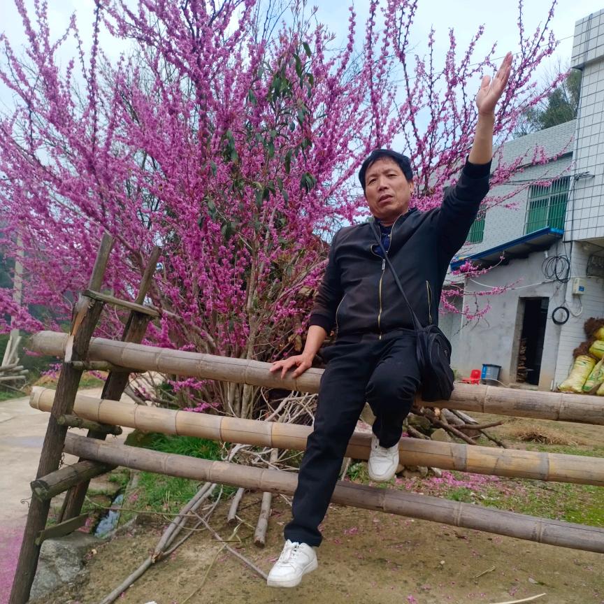 湖北农哥
