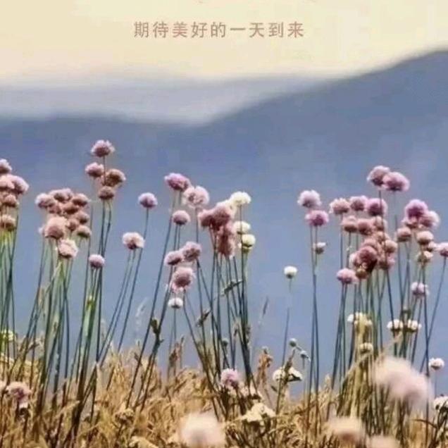 詩 意