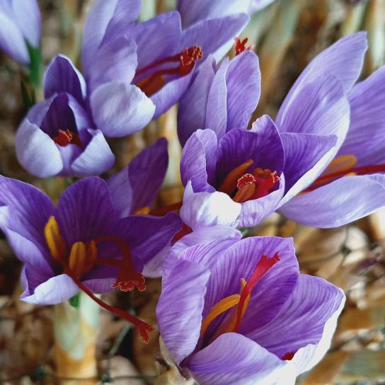 梅姐家庭农场～好物在橱窗