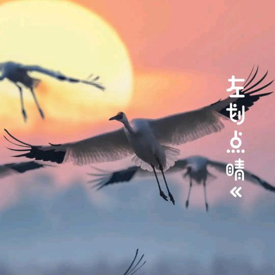 几内亚