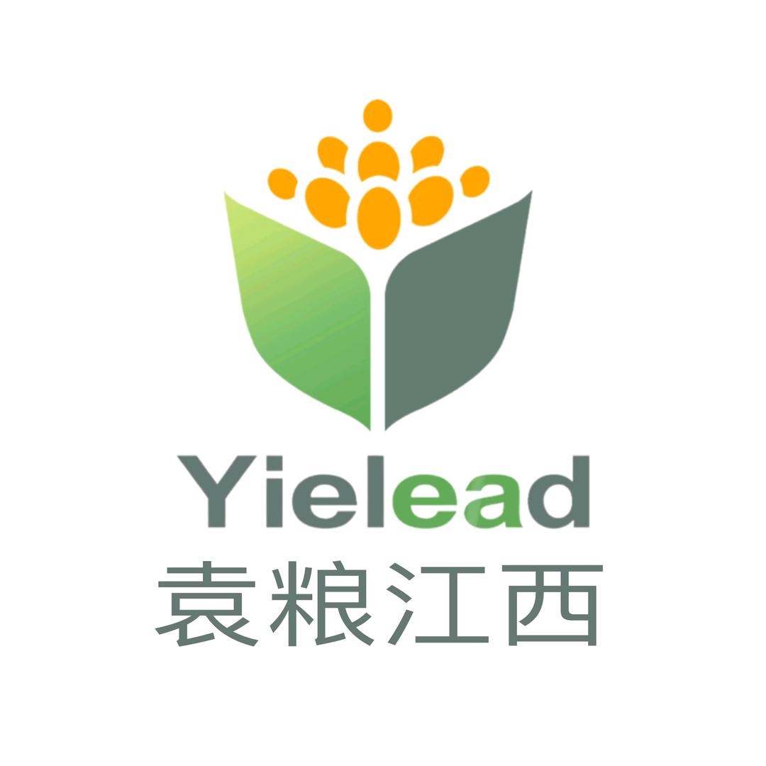 袁粮江西袁老师