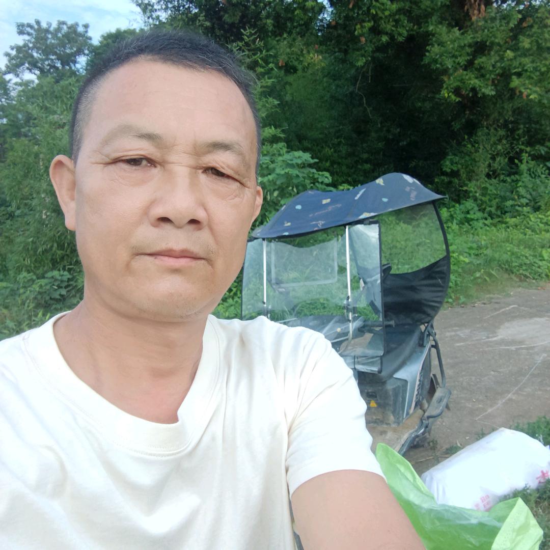 桃花盛开