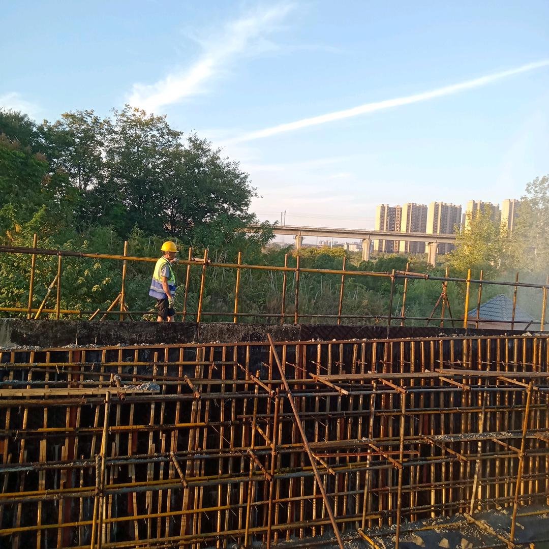 半月滴     (手机摄影)  1