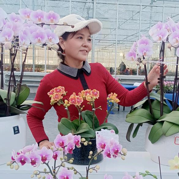 风中飘动的叶子2