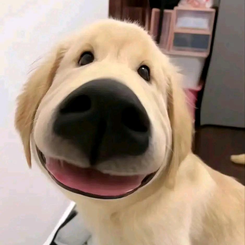 菜菜的小日记vlog