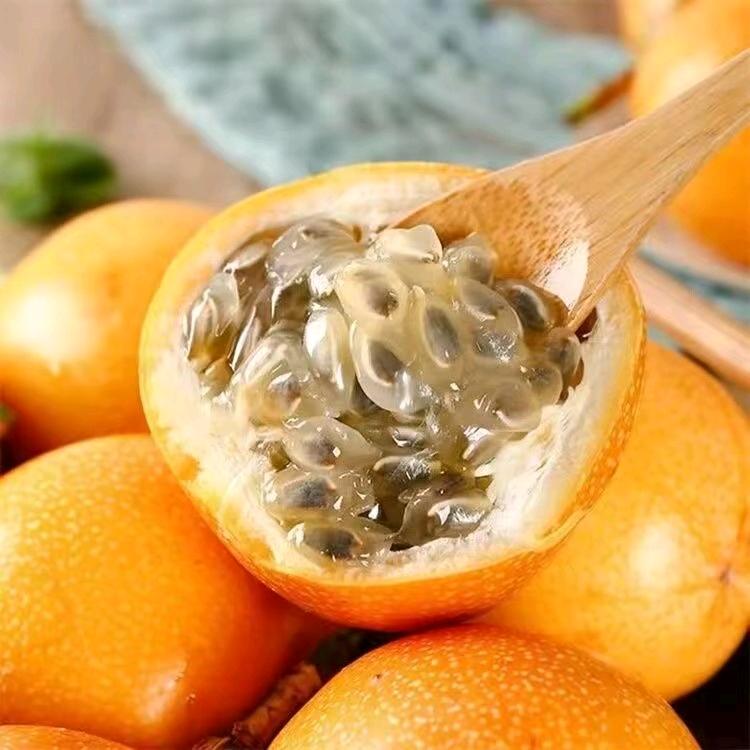 素蜜县春果树苗木专卖店