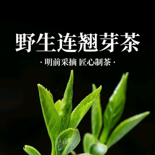 棒棒糖(野生连翘茶)