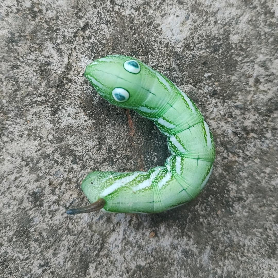 抓你来了