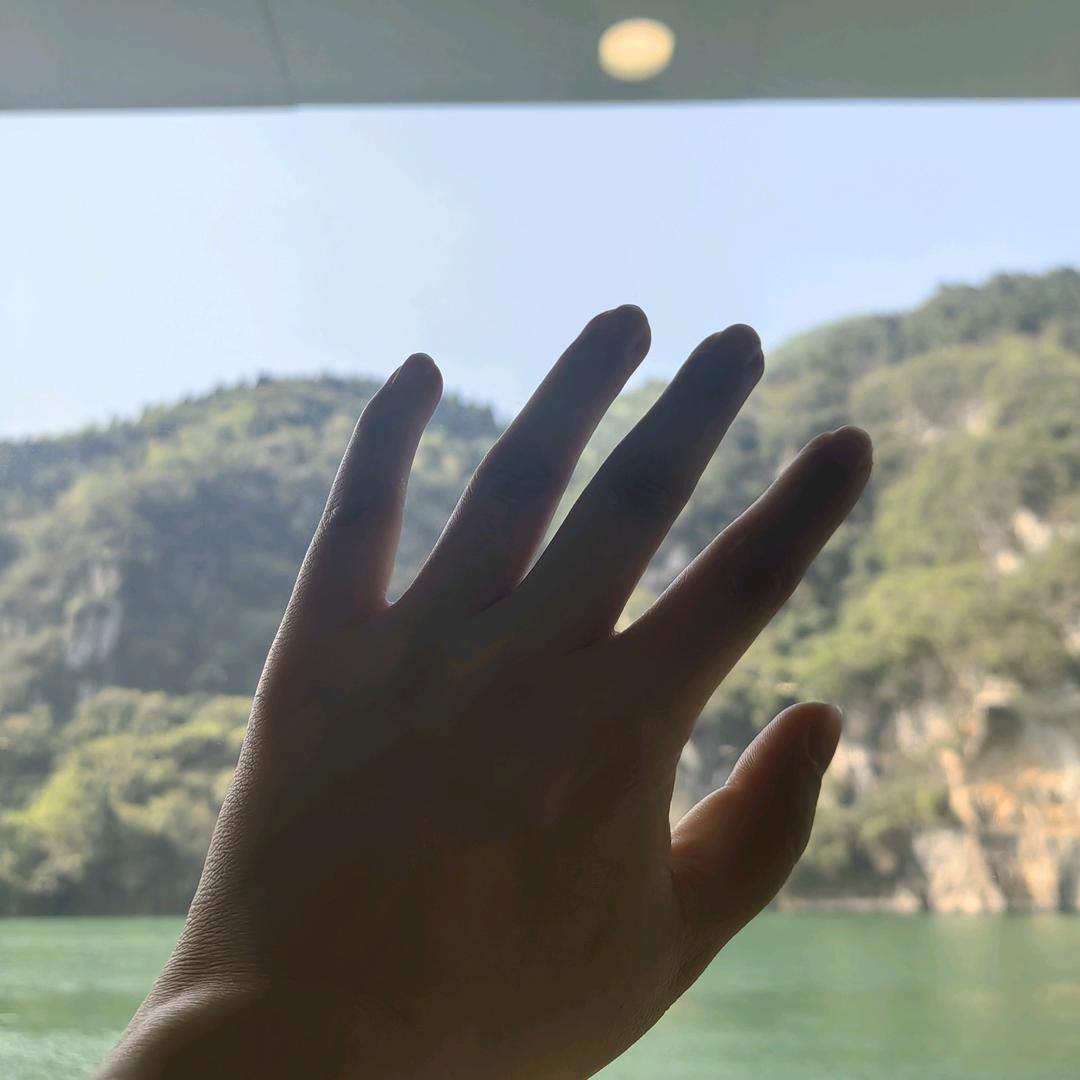 海边散步的小乌龟