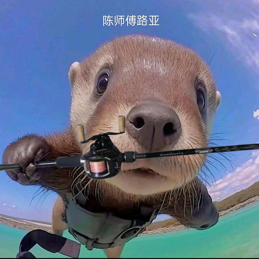 陈师傅路亚