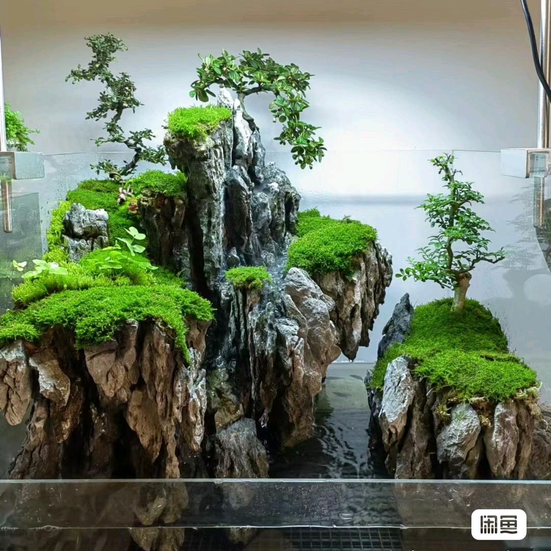 飞鱼森林鱼缸沉木造景