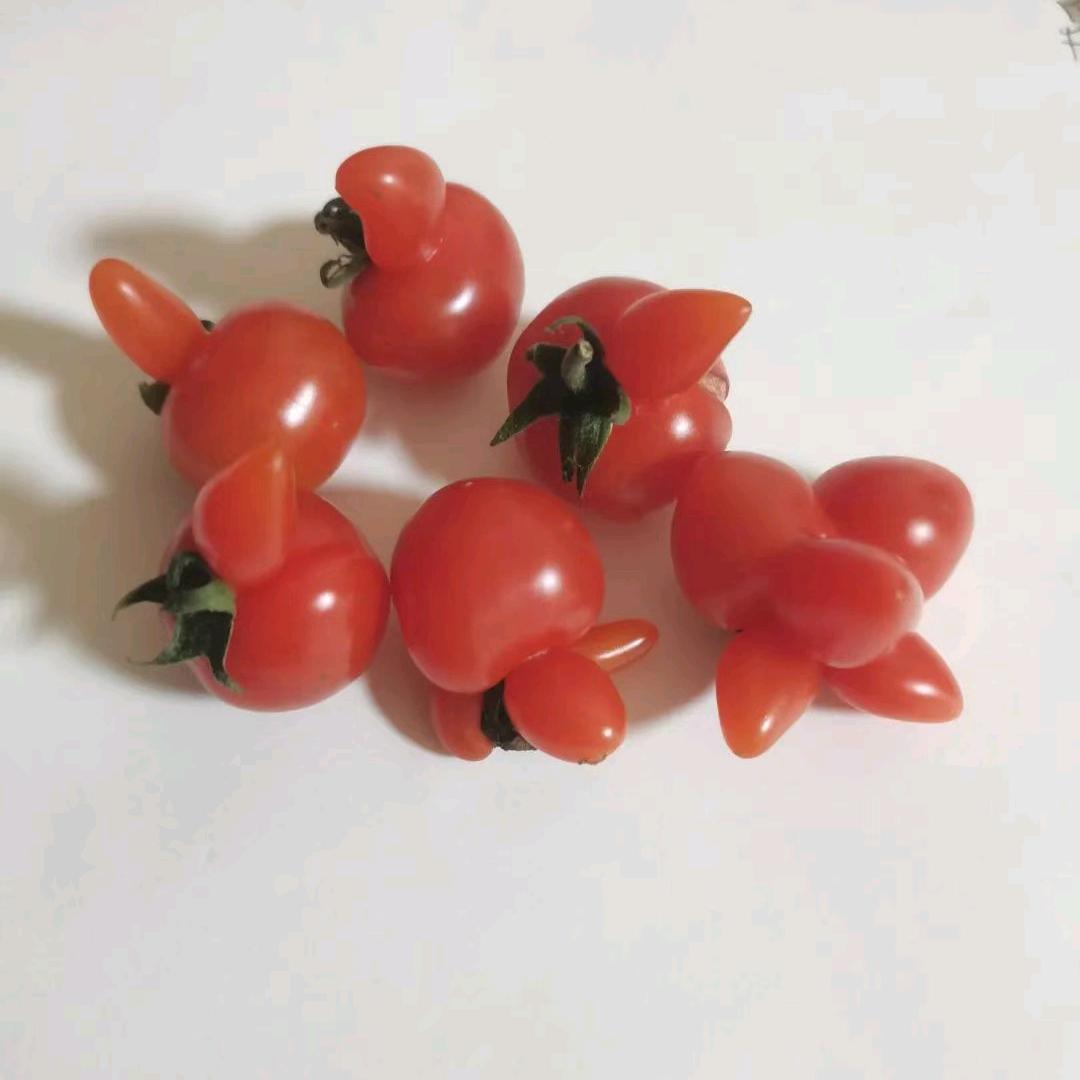 顺其自然