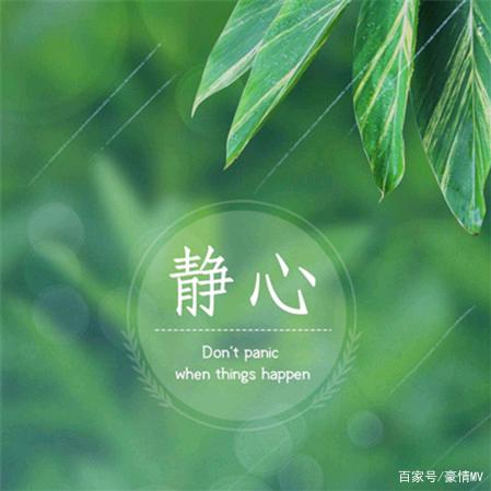 静心