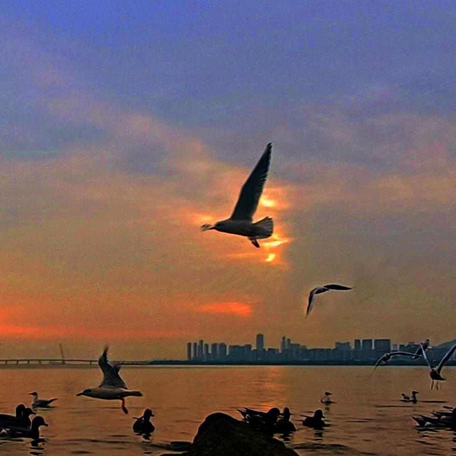 “ᥴꪖꪶꪖꪑಇէꪗ🍃”