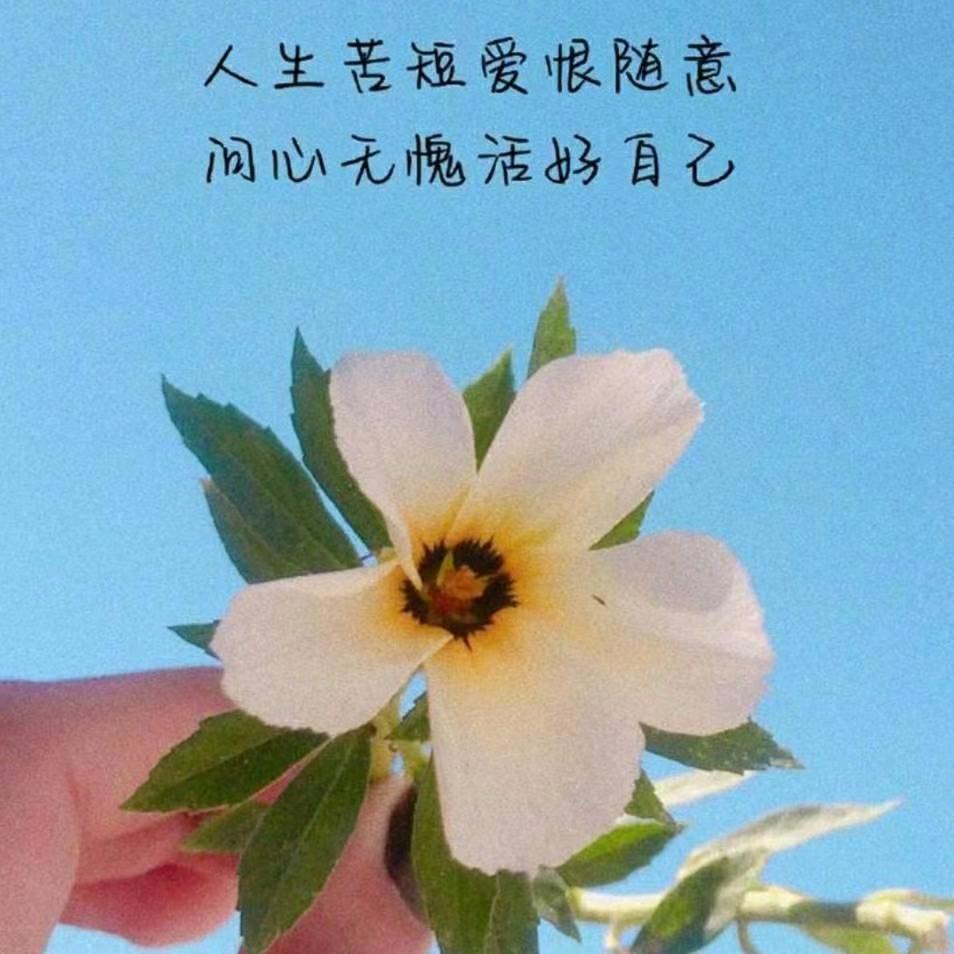 爱财爱己