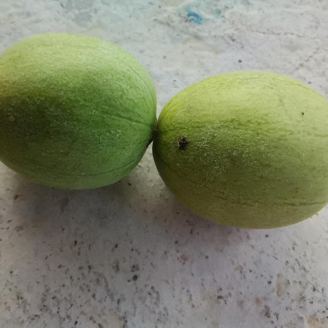 幸运 一姐