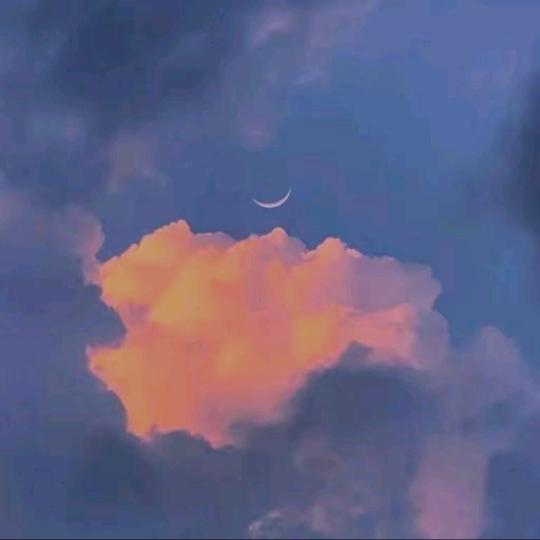 菡宝臻选阁
