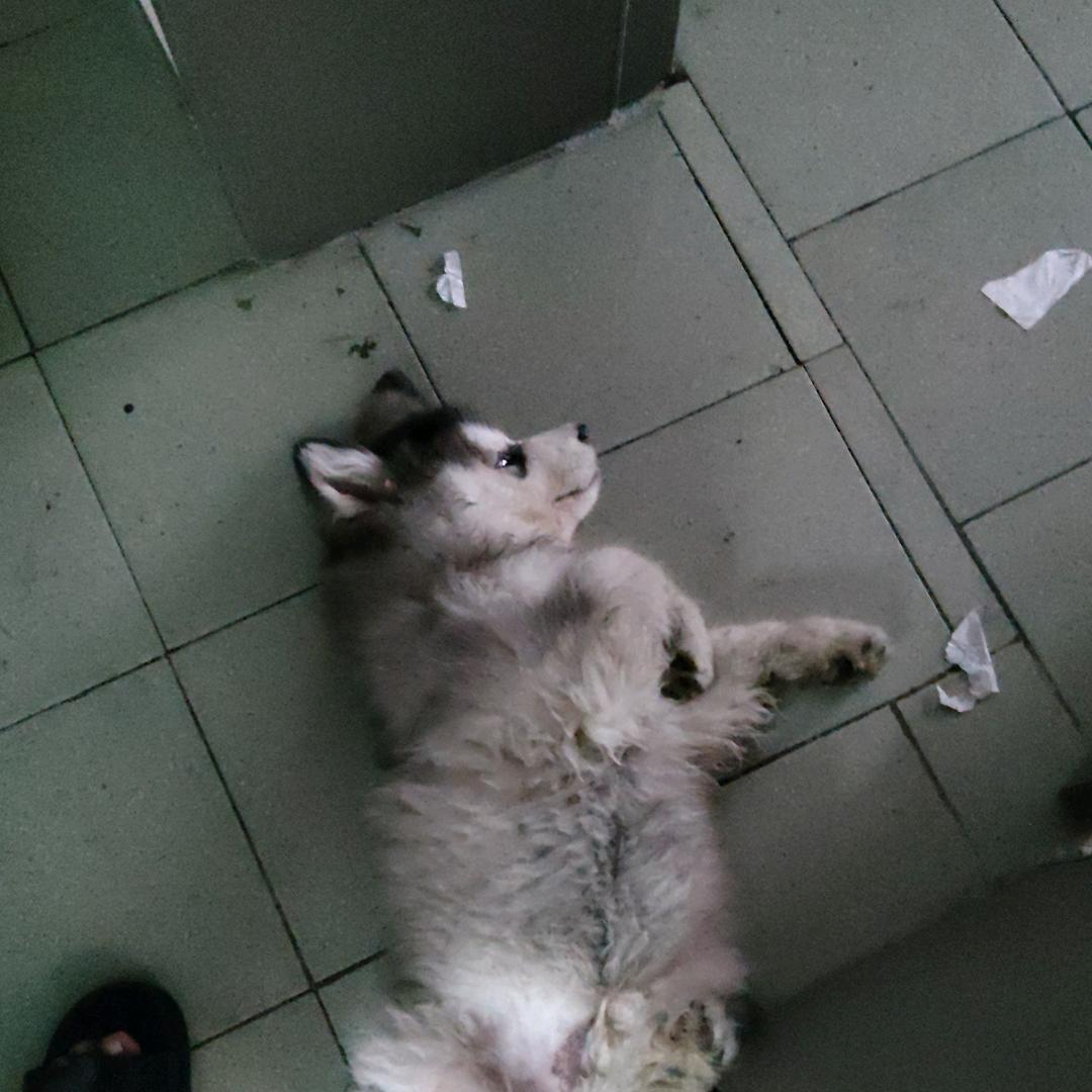 曾经的你