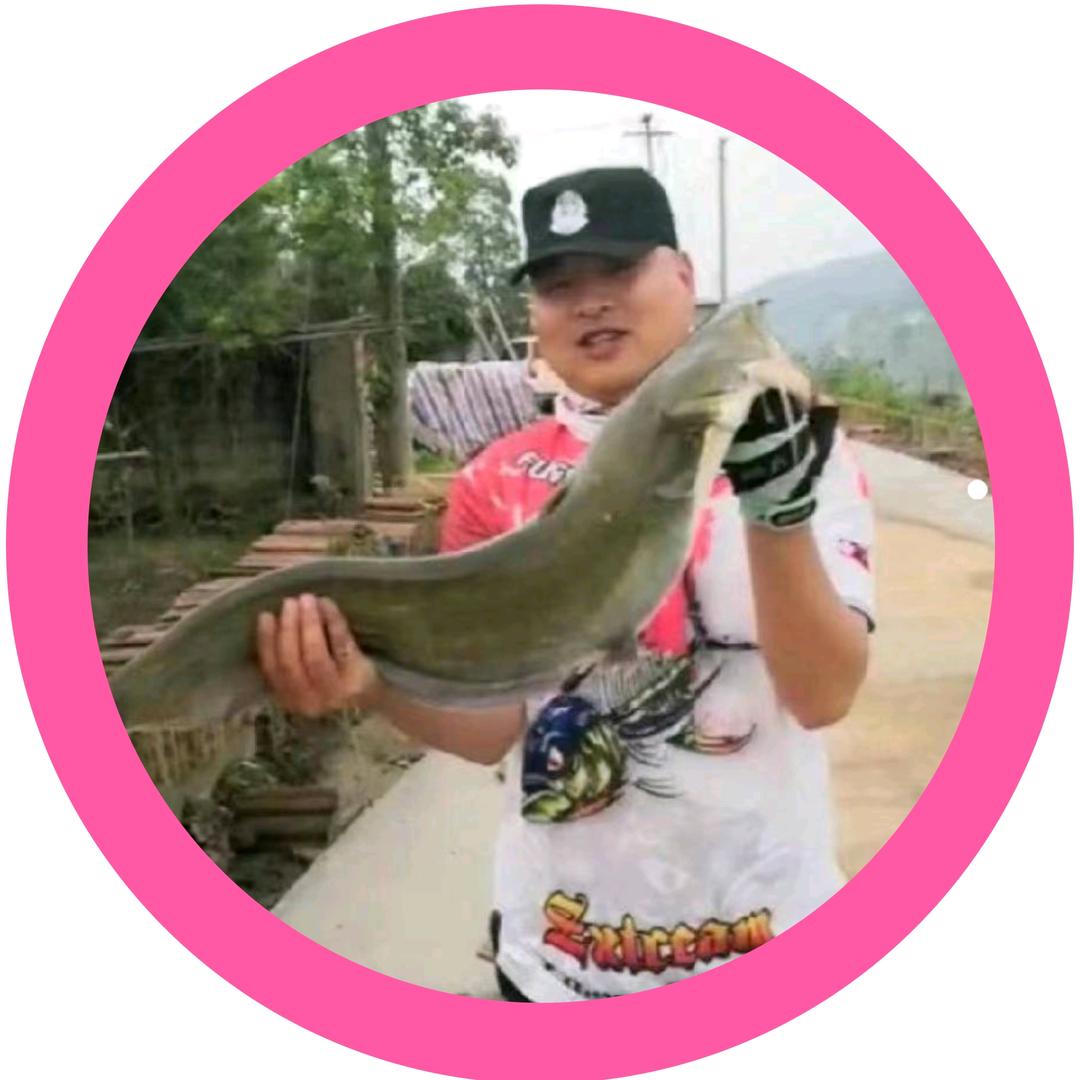 益路同行🎣