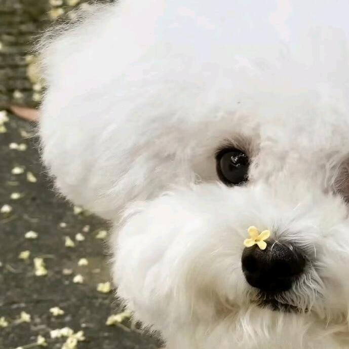 感叹号