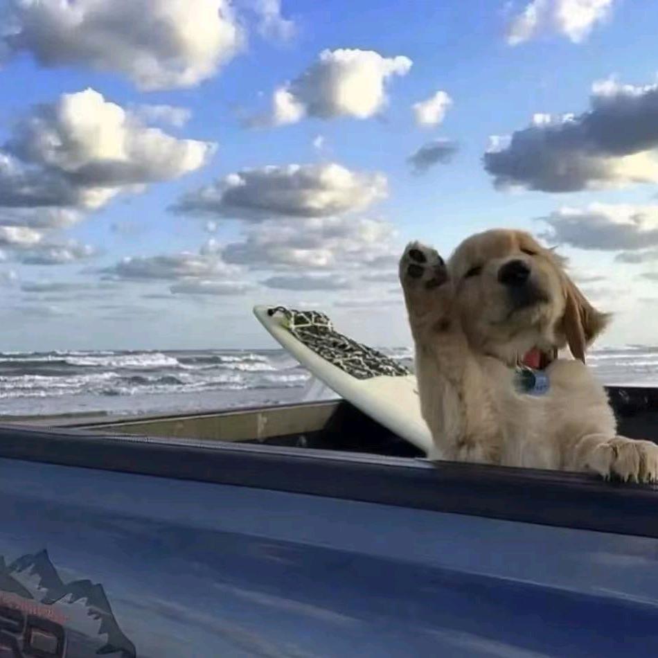 嗨玩计划·亲子游