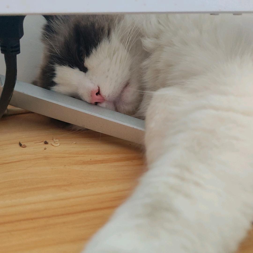 十三（三角洲行动）