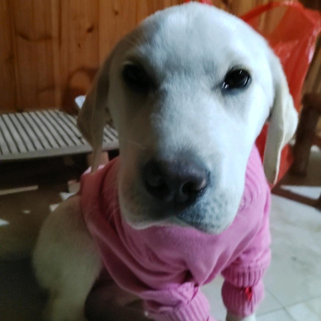 只言温暖，不言悲伤。